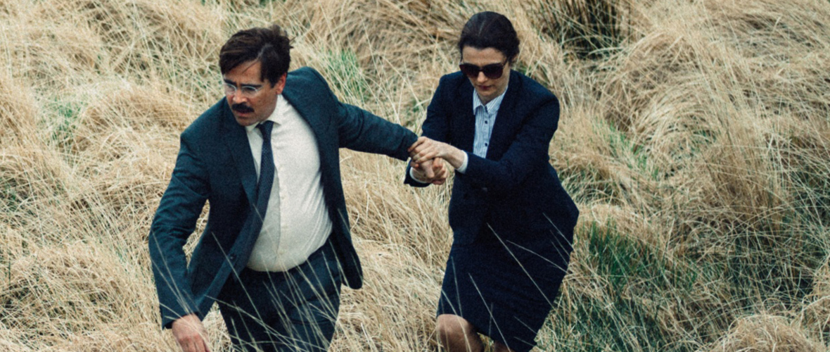 the lobster_web