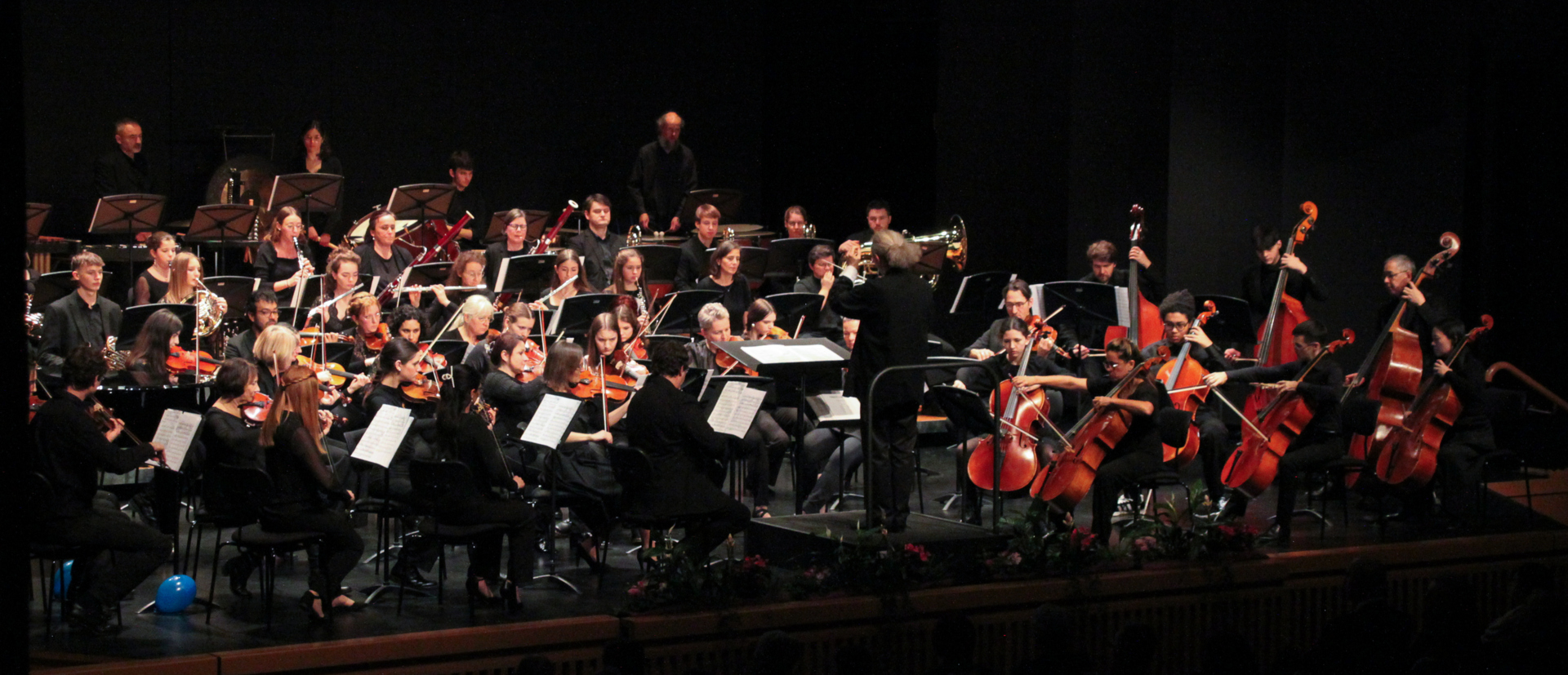 IMG_1534 IMG_1534