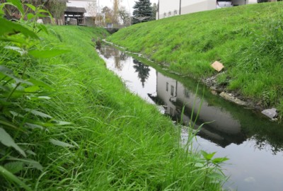 Gewässer Grindelkanal Revitalisierung