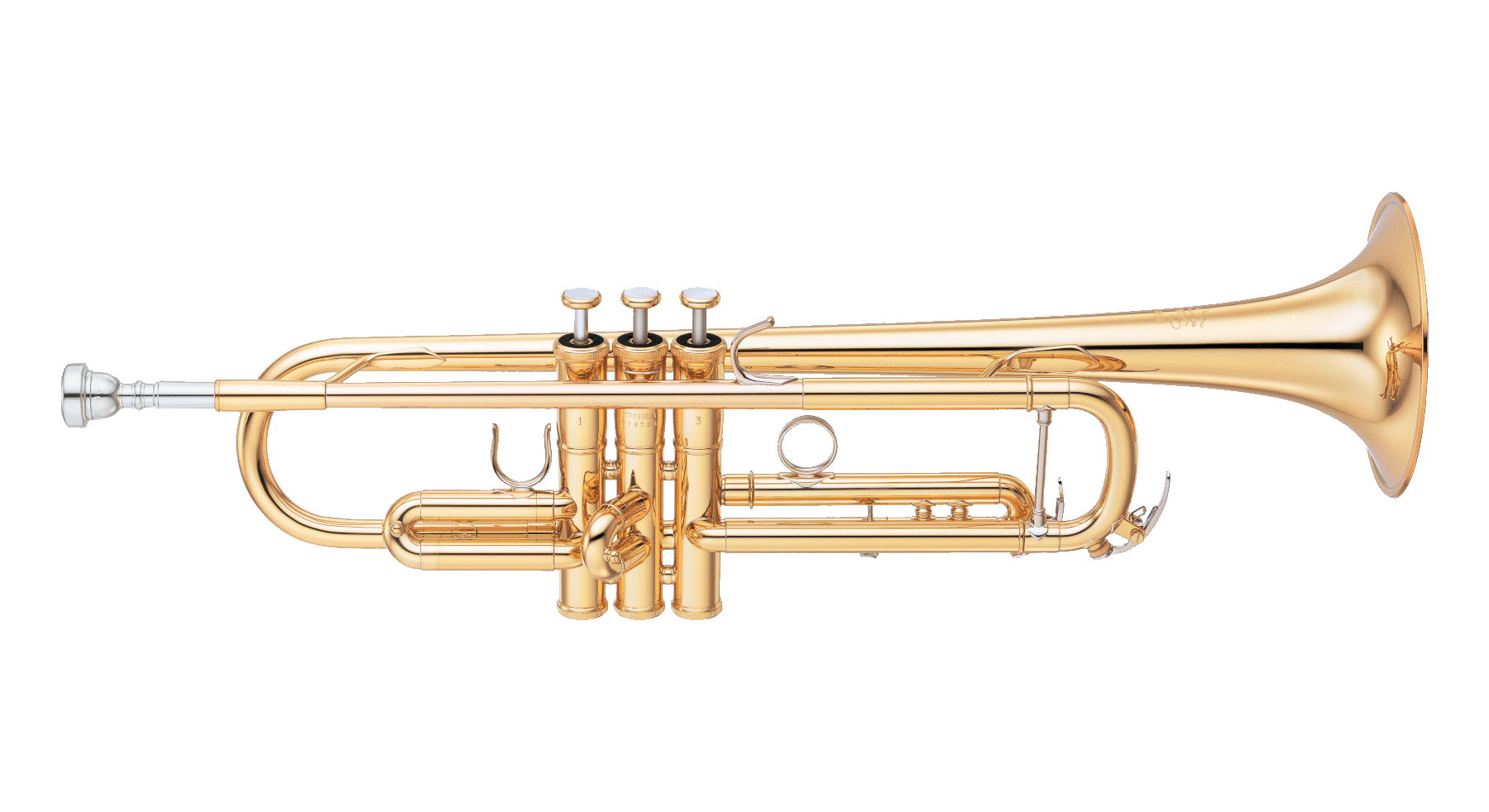 Trompete