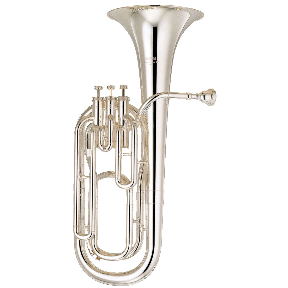 Tenorhorn