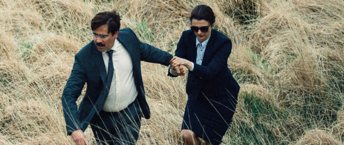 the lobster_web the lobster_web