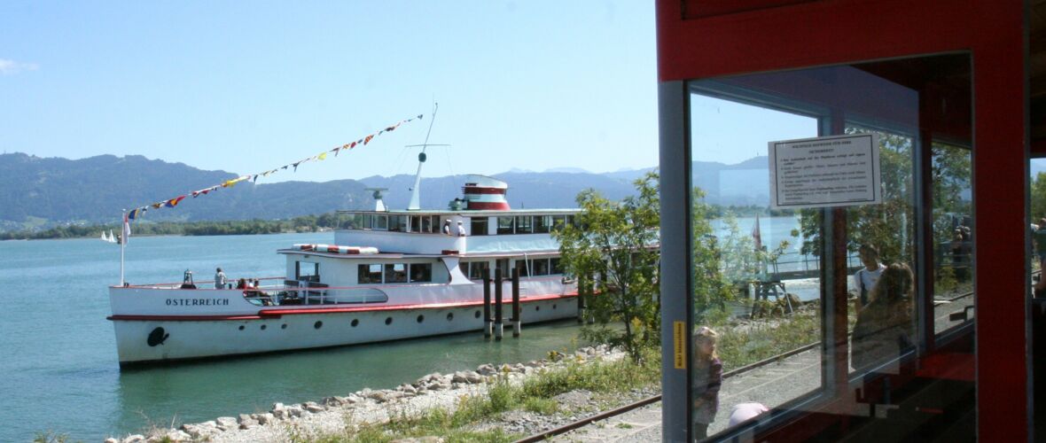 Rhein Schauen
