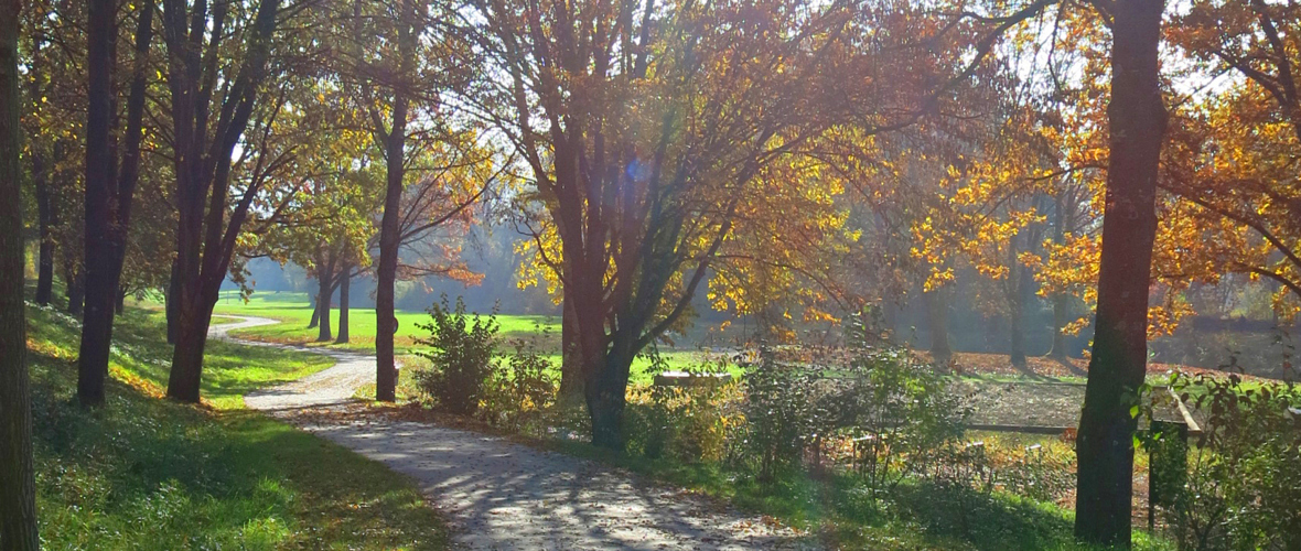 Alter Rhein 03