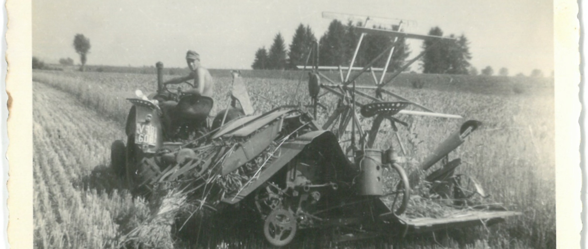 Ernte Heidensand 50er Jahre