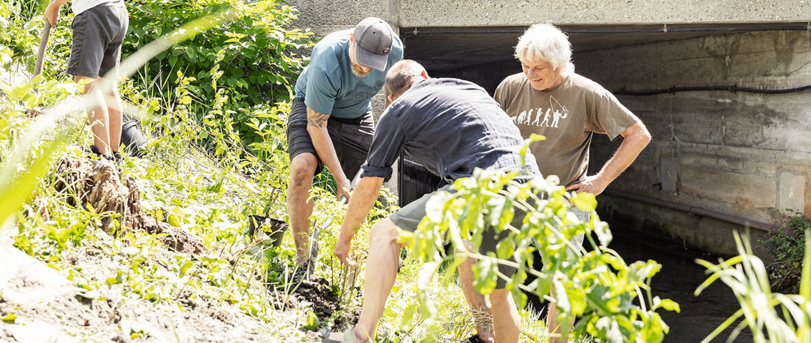 Pflanzaktion_©Lukas Hämmerle (16)