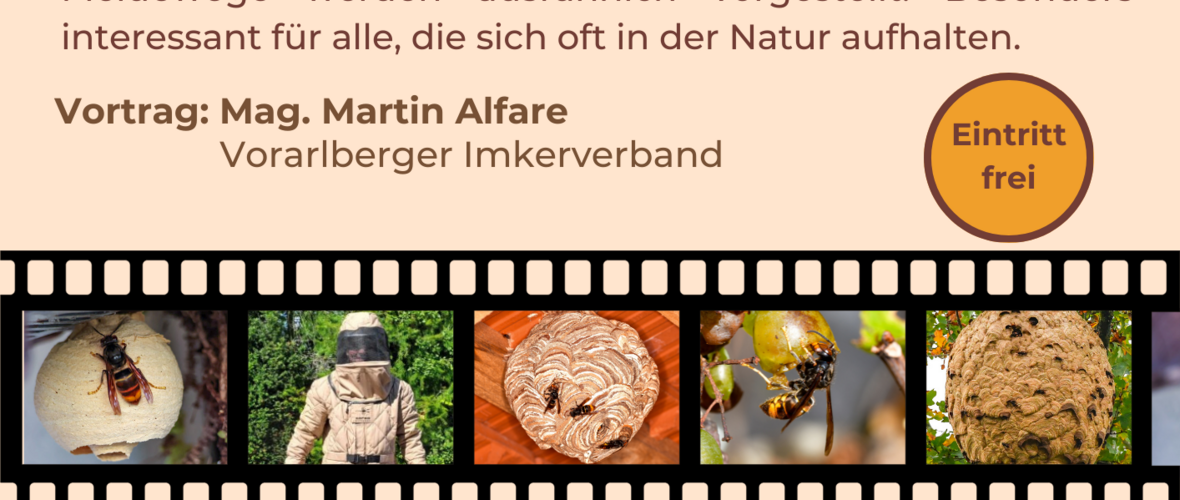 Vortrag_Vespa_velutina_Einladung.png