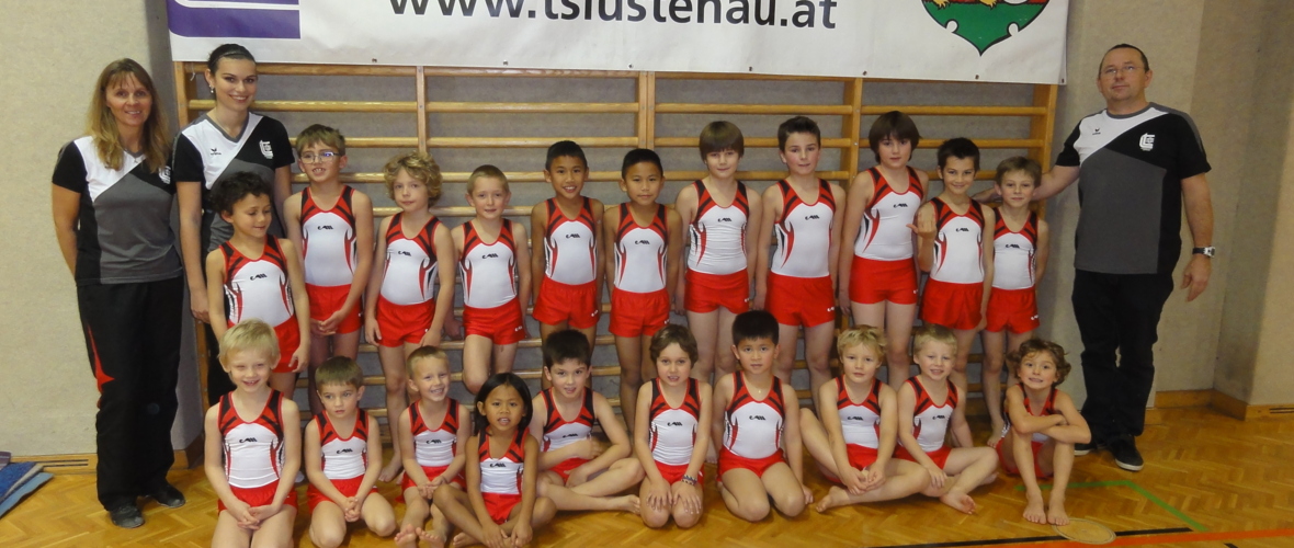 Landesmeisterschaften im Kunstturnen