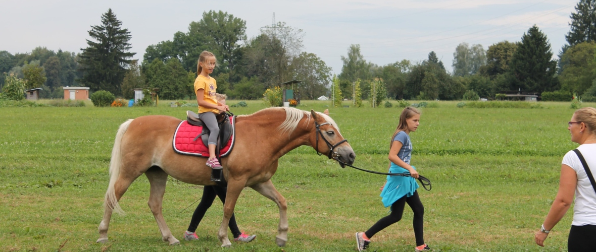 Reiten Öxlerhof Reiten Öxlerhof