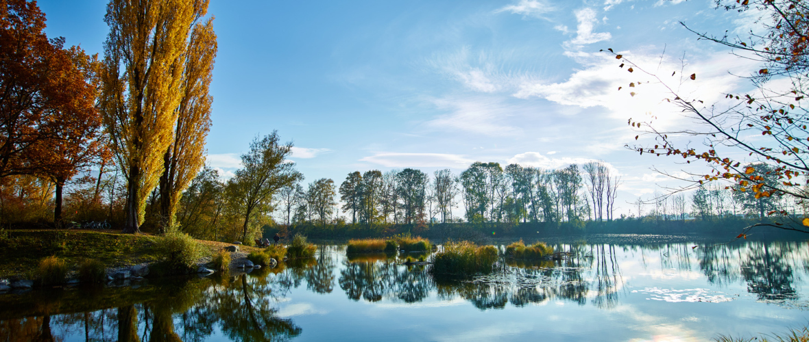 Alter_Rhein_10-2015_04 Marcel Hagen