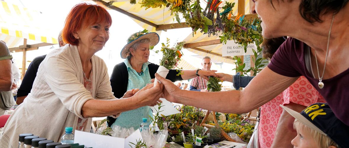 Kräutermarkt 2019