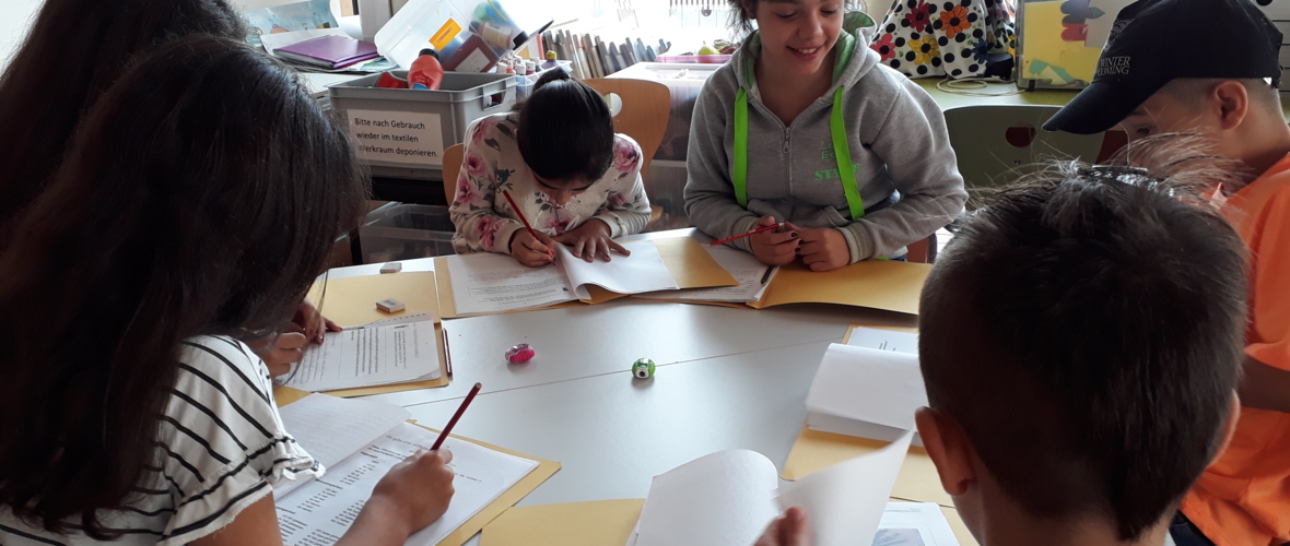Sommerschule Sommerschule