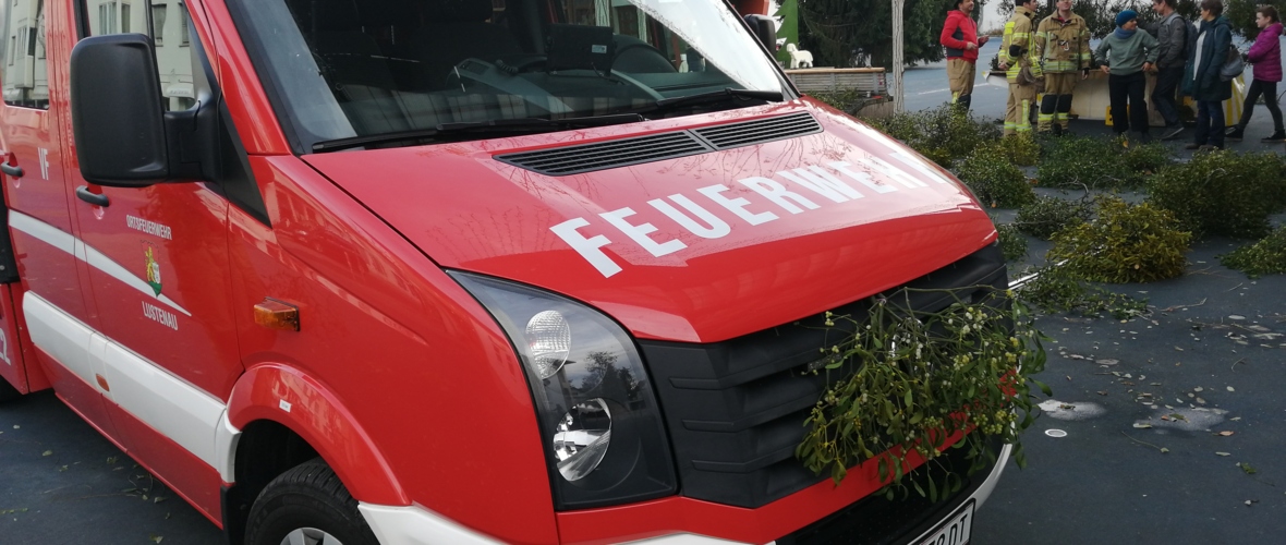 Mistelverkauf1 Mistelverkauf1