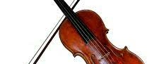 Violine
