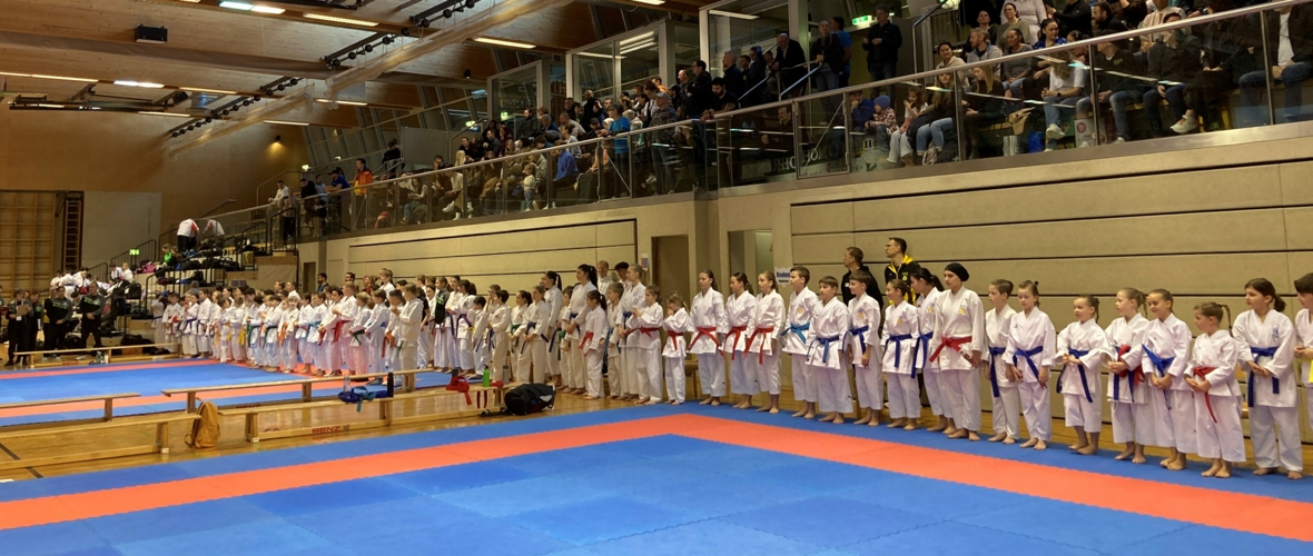 karate1 karate1