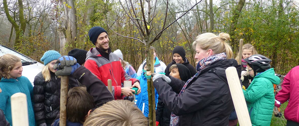 1a Klasse der MS Hasenfeld beim Pflanzen