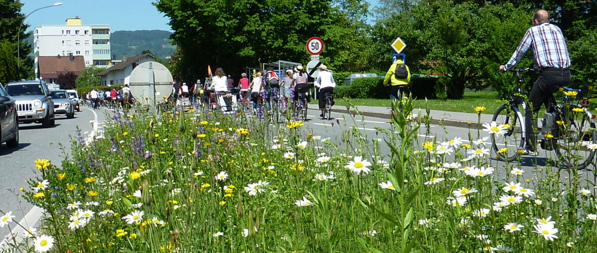 natürlich bunt & artenreich