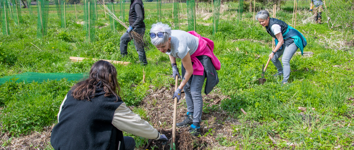 Baumpflanzaktion Baumpflanzaktion