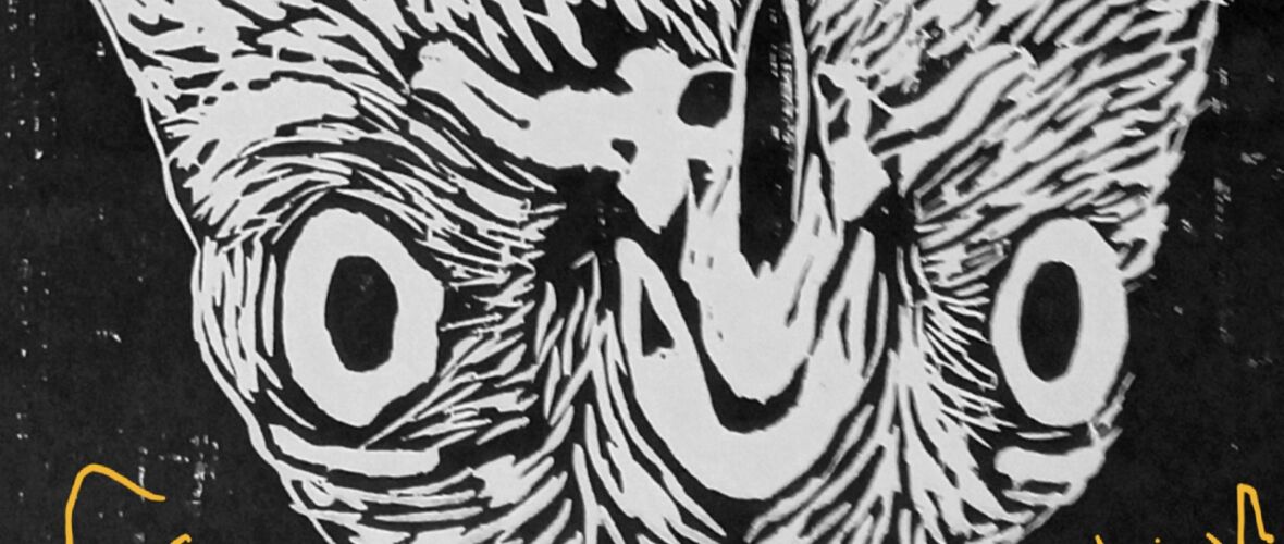 20221102_124438.jpg 20221102_124438.jpg