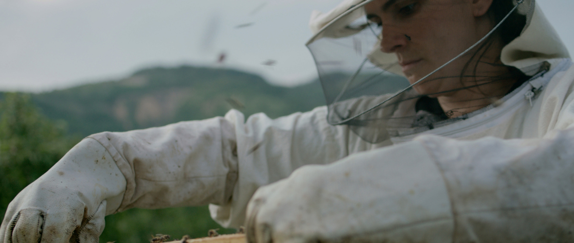 Hofkultur 2023 | Kino in der Heuhalle: Hive Hofkultur 2023 | Kino in der Heuhalle: Hive