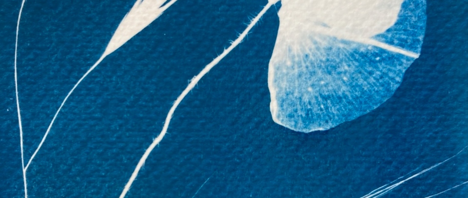 cyanotypie01.jpeg cyanotypie01.jpeg