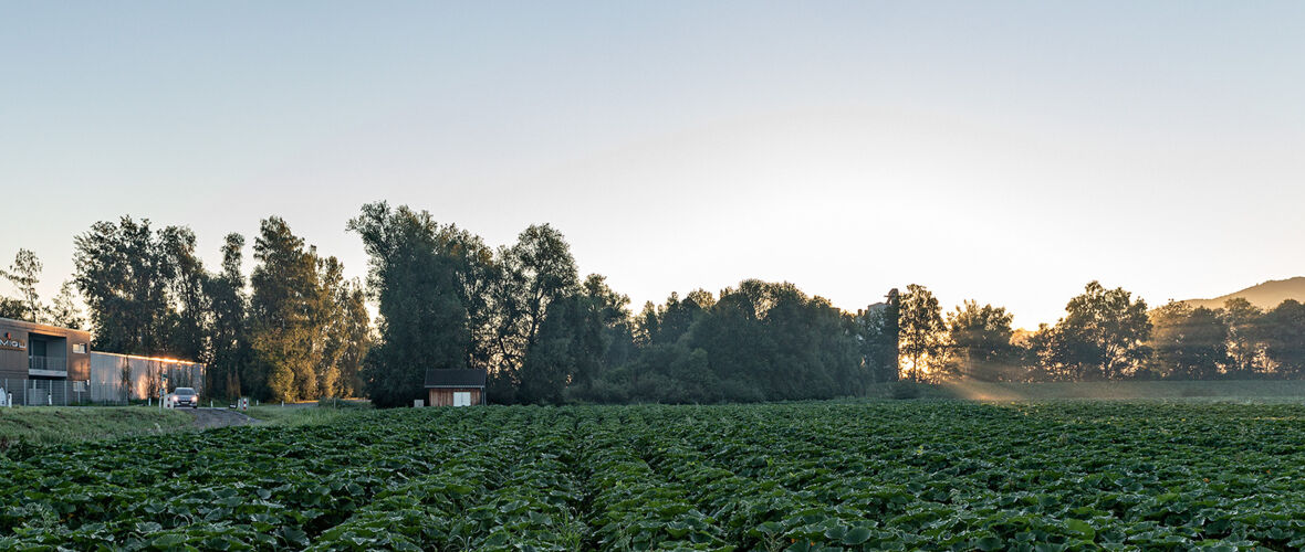 Hofkultur 2024 | Auftakt Hofkultur 2024 | Auftakt