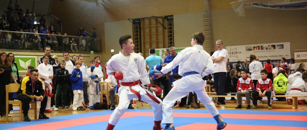 Lions Cup - Karate