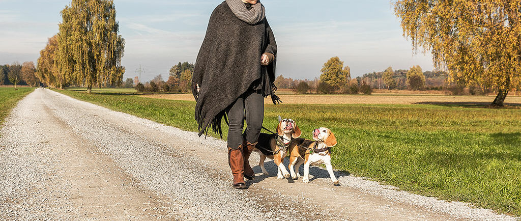 Verantwortungsvolle Hundehaltung in Lustenau