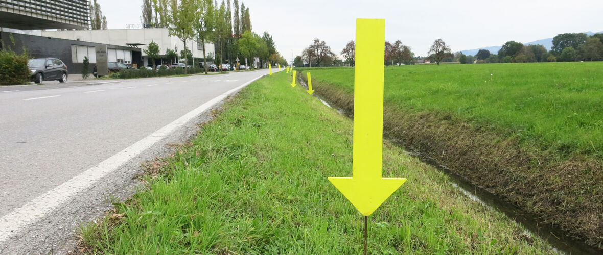 Gelbe Karte für weggeworfenen Abfall