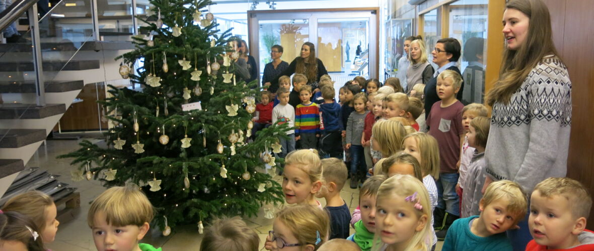 Christbaum 2017 KIGA Am Schlatt