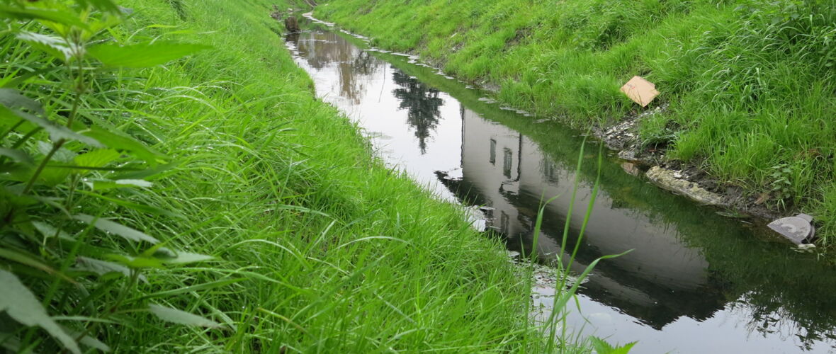 Grindelkanal