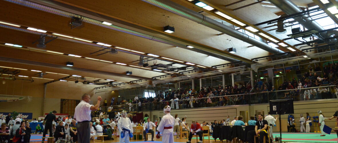 Lions Cup Karate Club