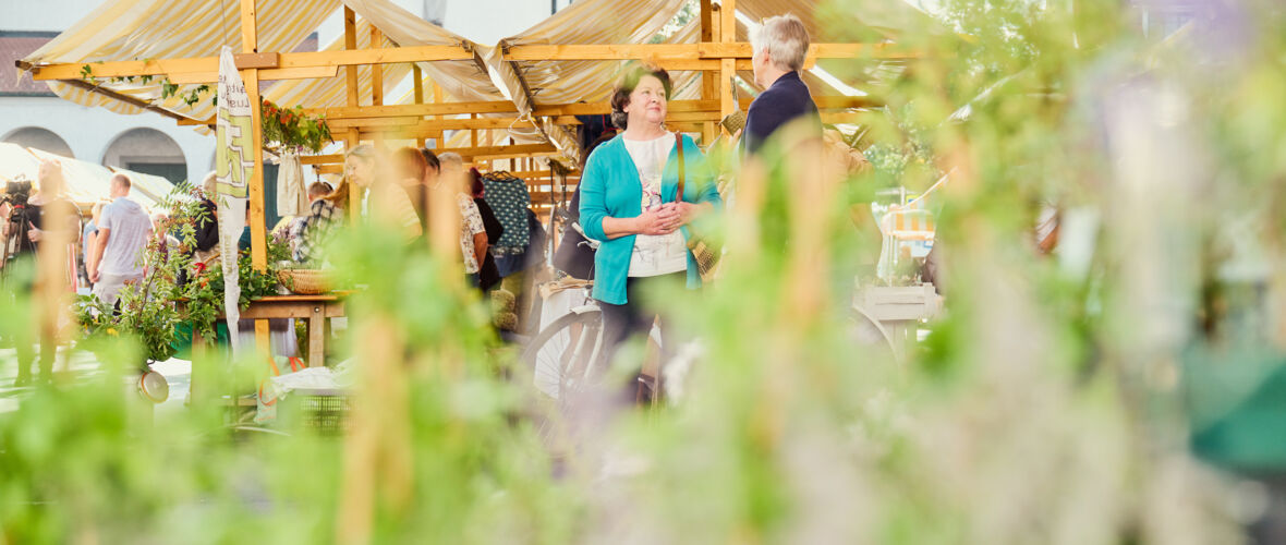 Kräutermarkt_2022@Miro Kuzmanovic (44) Kräutermarkt_2022@Miro Kuzmanovic (44)