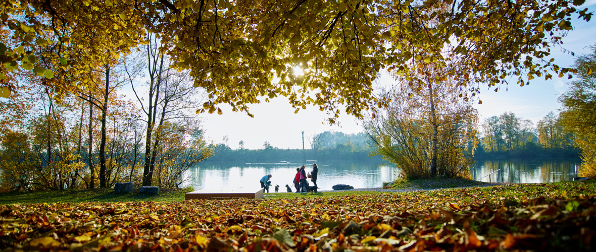 Alter_Rhein_10-2015_01 Marcel Hagen