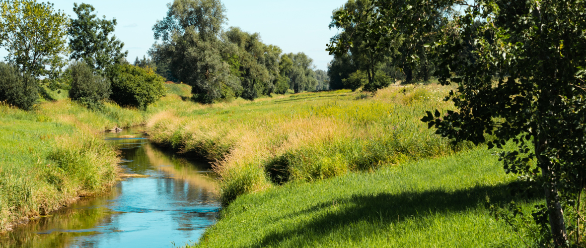 Ried_Beradelung2_©stadtland2022 Ried_Beradelung2_©stadtland2022