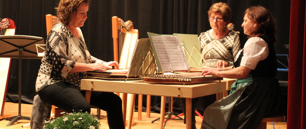 FB Konzert Volksmusik (43)