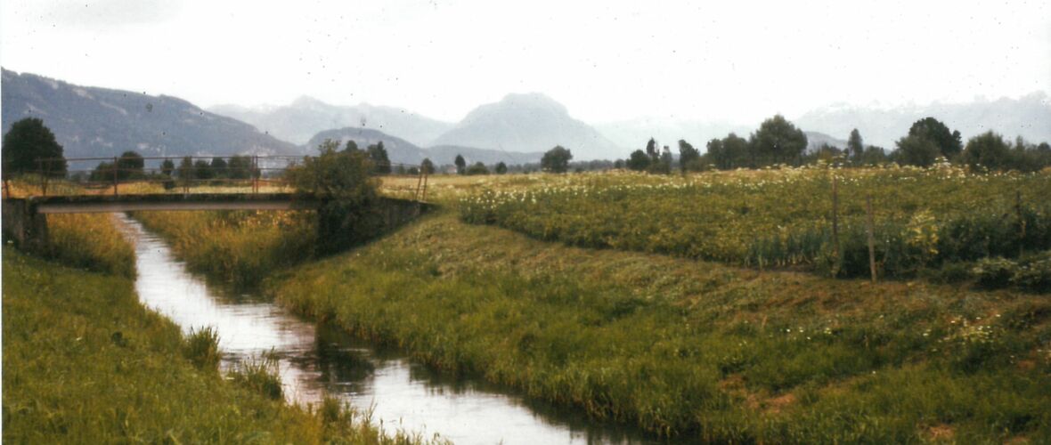 Neunerkanal Neunerkanal