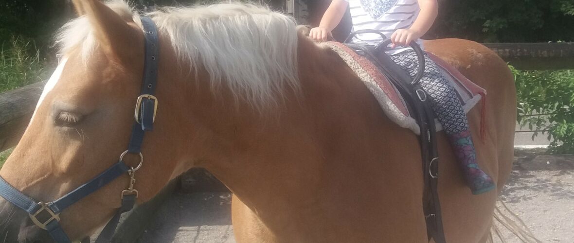 Ponyreiten