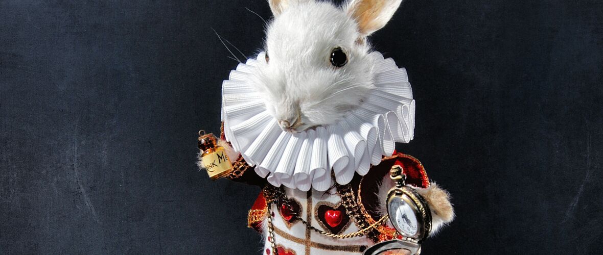 Weihnachtsmärchen: "Alice im Wunderland" Weihnachtsmärchen: "Alice im Wunderland"