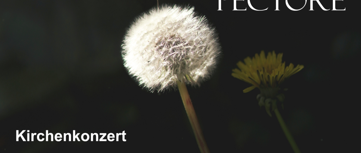 inserat mv concordia Kirchenkonzert 2023_quer A4 (Large).png inserat mv concordia Kirchenkonzert 2023_quer A4 (Large).png