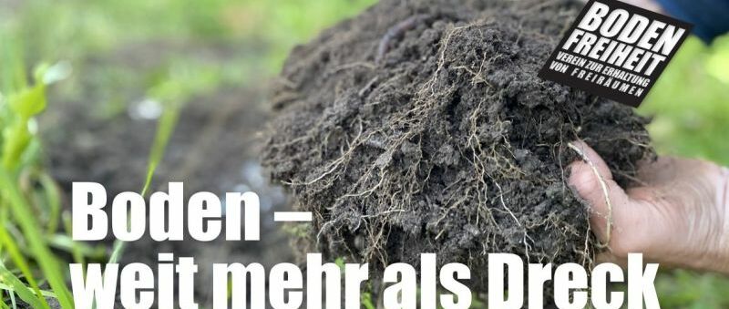Future Soil_Header-63efd236