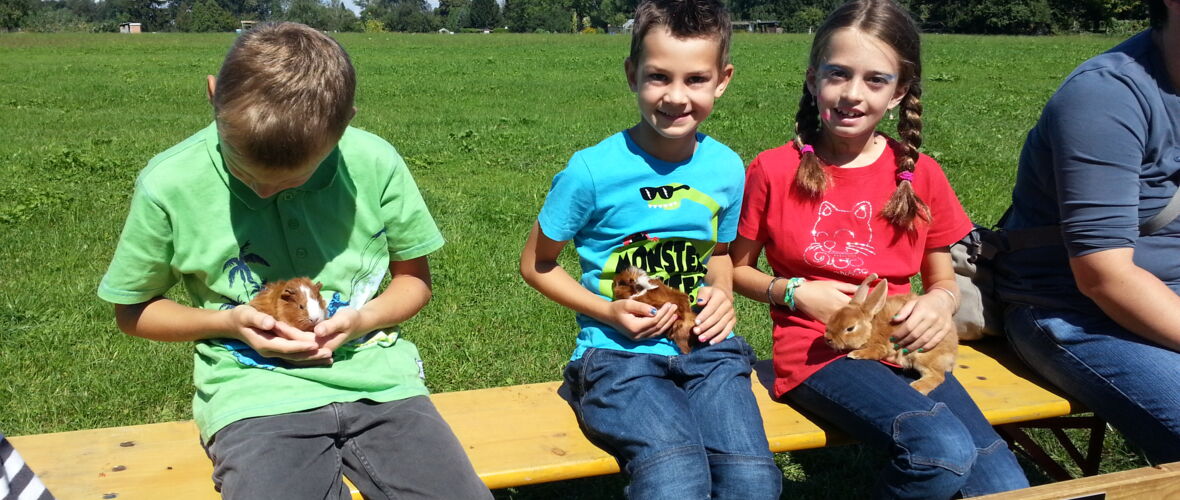Oexler_Streichelzoo2013