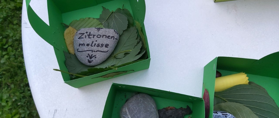 6 Kräutersteine und Bastelmaterialien in den Körbchen (1) 6 Kräutersteine und Bastelmaterialien in den Körbchen (1)