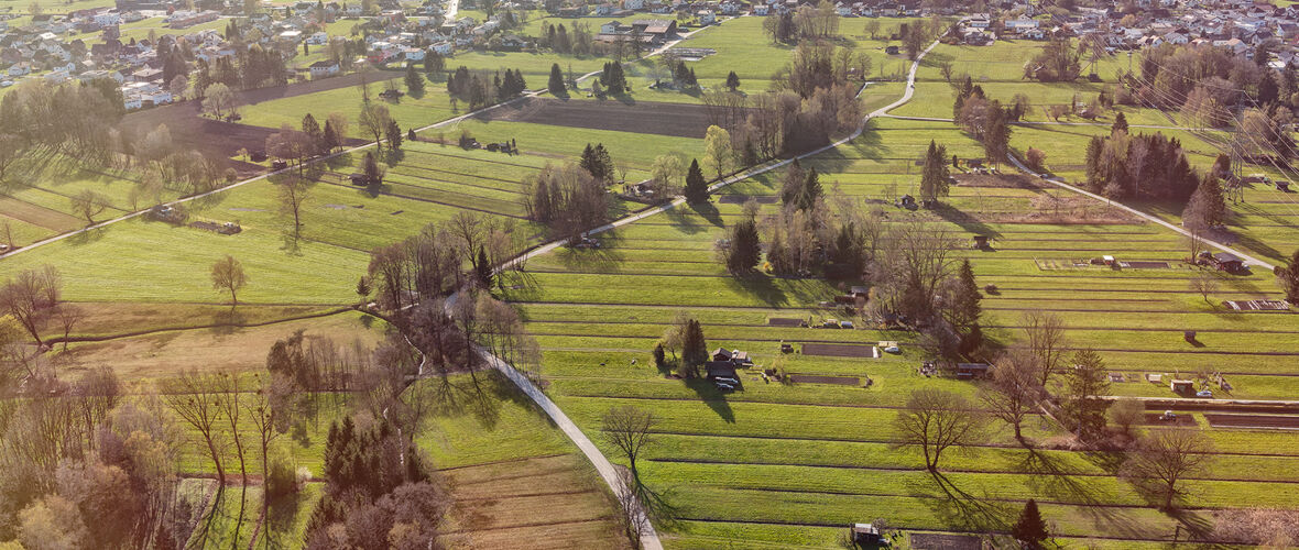 Ried_©Lukas Hämmerle (9)