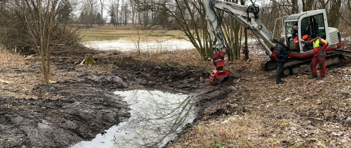 Foto 1_Feuchtbiotop 5054_1