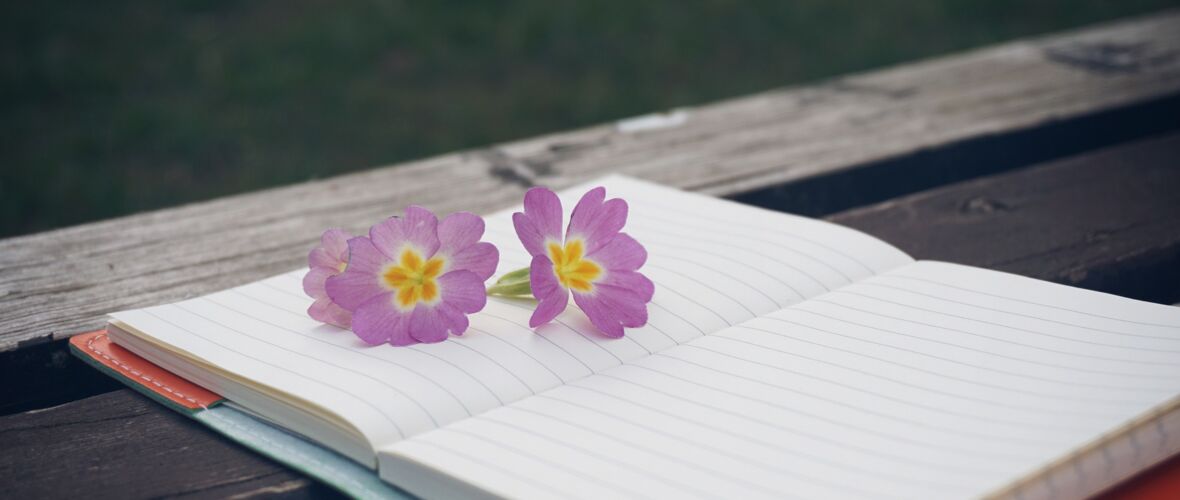 Frühling.jpg Frühling.jpg