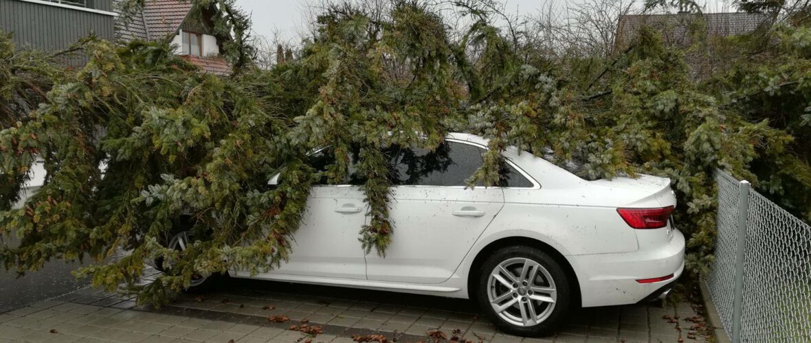 Feuerwehreinsatz Sturm Burglind_Baum auf Auto
