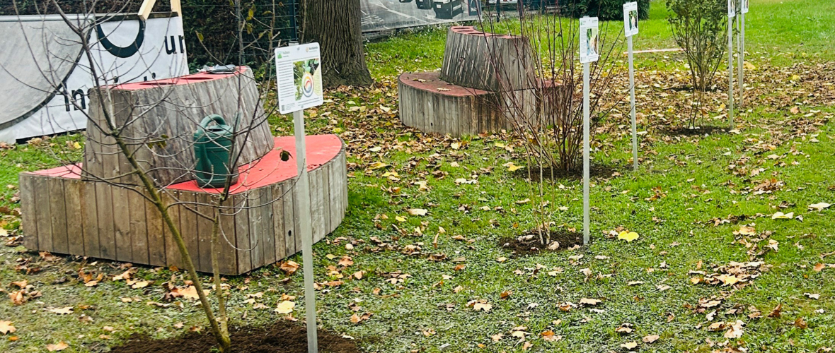 Foto2_ergebnisderpflanzaktion_quer Foto2_ergebnisderpflanzaktion_quer