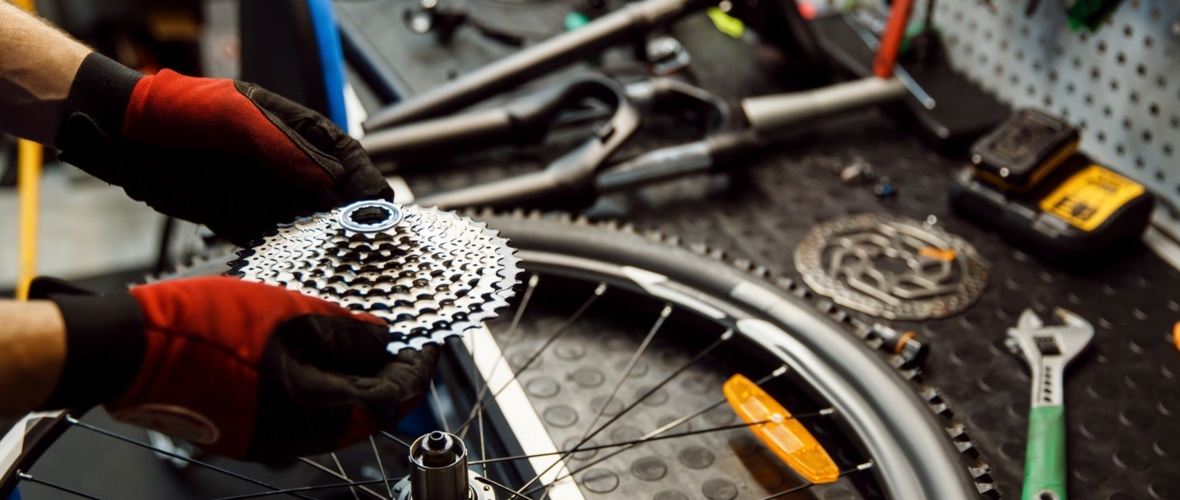Fahrrad_basics.jpg Fahrrad_basics.jpg