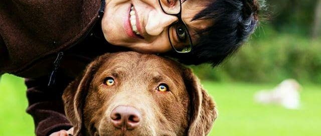 Zweitschönster Hund Zweitschönster Hund